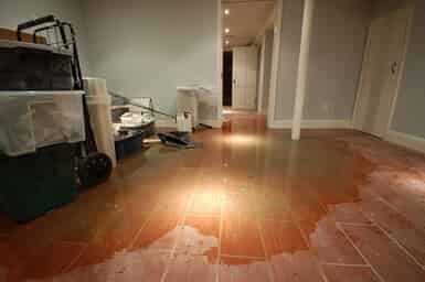 Untreated water damage can be costly in the long run
