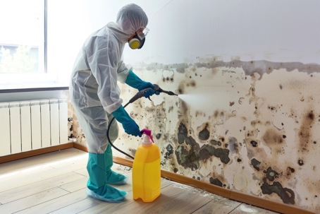 technician cleaning mold damage